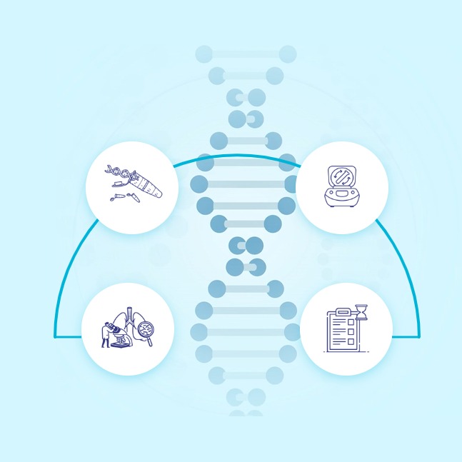 Molecular diagnostics expertise for tuberculosis detection and antimicrobial resistance profiling.