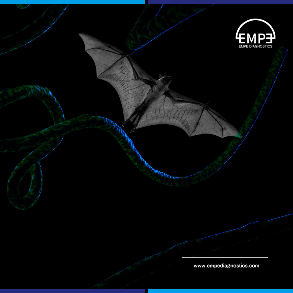African fruit bat suspected Ebolavirus reservoir — Ebola early detection — EMPE Diagnostics